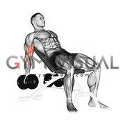 person watching tutorial video with smartphone. . Incline dumbbell curl gif